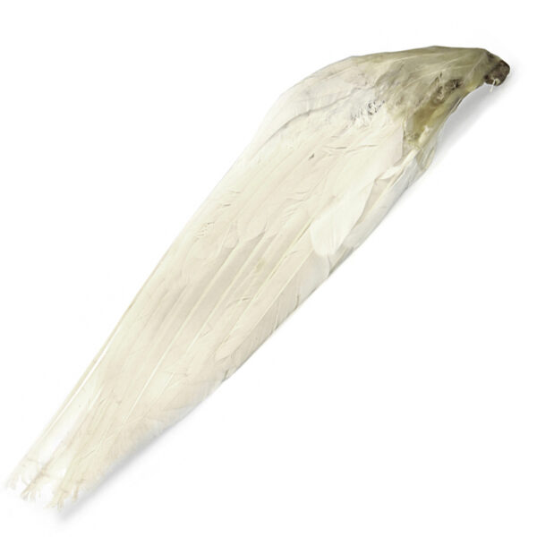 Gänseflügel