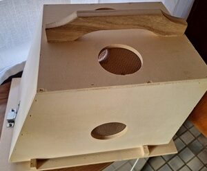 Schwarmfang Zulaufkasten